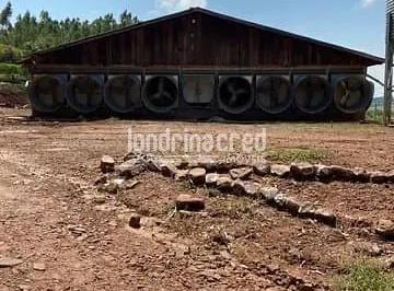 chacara-a-venda-zona-rural-tamarana-pr1717702233841hists.jpg · Chácara à venda Zona Rural, Tamarana - PR