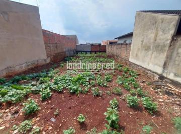 11729103516930.jpg · Terreno à venda 250M², Jardim Montecatini, Londrina - PR