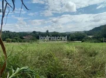 01-jpg1717179096850.jpg · Terreno à venda, Selva, Selva, PR