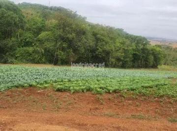 fl1mfby2ytiwmte3nte5njli_md · Chácara à venda 16444M², Zona Rural, Irerê - PR