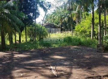 acxqruw2ytiwntfmywizm2u5_md · Terreno à venda, Jardim Rosicler, Londrina, PR