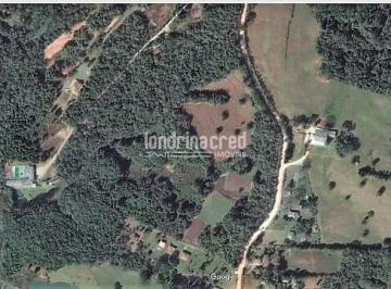chacara-a-venda-zona-rural-piraquara-pr1717702617327fqwss.jpg · Chácara à venda Zona Rural, Piraquara - PR