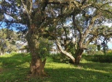 g3tlgj82ytiwmtkxnzzjymrm_md · Chácara à venda Zona Rural, Piraquara - PR