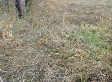 zmrfyhg2ytiwngjlmtzmowez_md · Terreno à venda Jardim Bandeirantes, Campo Mourão - PR