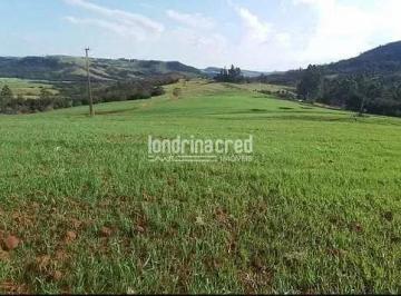 chacara-a-venda-212960m-zona-rural-tamarana-pr1717701886850ywhsa.jpg · Chácara à venda 212960M², Zona Rural, Tamarana - PR