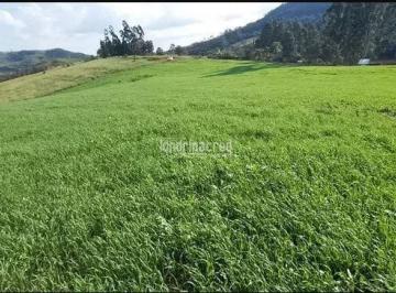 vgaetqi2ytiwmtjinje0nzi1_md · Chácara à venda 212960M², Zona Rural, Tamarana - PR