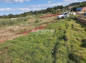 011716490455318.jpg · Terreno à venda, RURAL, Selva, PR