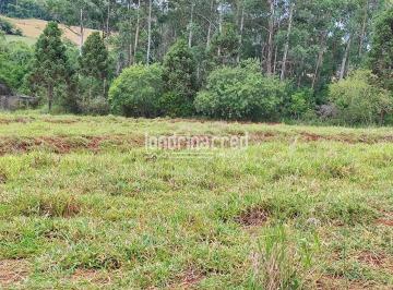 chacara-a-venda-1000m-zona-rural-ibipora-pr1717701375717ywonu.jpg · Chácara à venda 1000M², Zona Rural, Ibiporã - PR