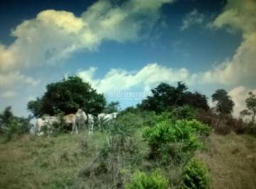 qlo8vto2ytiwmtyxy2u1mdq3_md · Chácara à venda Zona Rural, Ortigueira - PR
