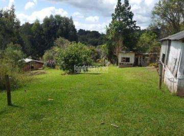 ny7tany2ytiwmtk0nmvlztzm_md · Chácara à venda Zona Rural, Campina Grande do Sul - PR