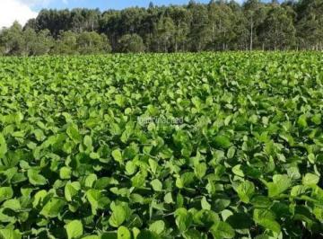 twayvqa2ytiwm2yxztjmnty2_md · Sítio à venda, RURAL, Arapoti, PR