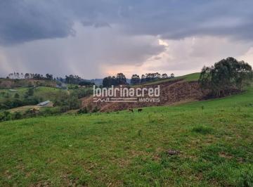 chacara-a-venda-744000m-zona-rural-castro-pr1717701535385oglex.jpg · Chácara à venda 744000M², Zona Rural, Castro - PR