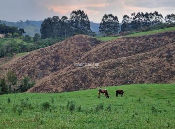92ms86u2ytiwmta2zwfhzgu0_md · Chácara à venda 744000M², Zona Rural, Castro - PR