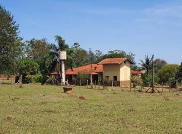 Rural · 3m² · Rurais à venda - no Centro