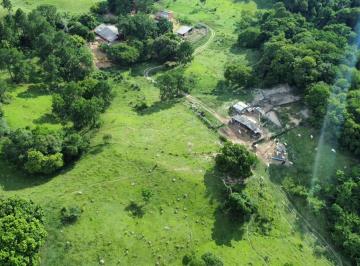Rural · 600m² · Rurais à venda - em Aparecidinha
