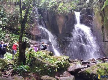 Rural · 90000m² · Rurais à venda - no Centro