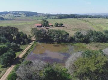 Rural · 14m² · Rurais à venda - no Centro