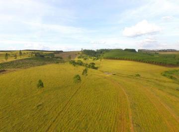 Rural · 19m² · Rurais à venda - na Fazenda São Pedro (Zona Rural)