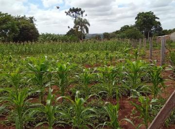 Terreno · 250m² · Terreno à venda - em Barão de Antonina