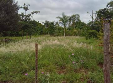 Terreno · 600m² · Terreno à venda - em Barão de Antonina