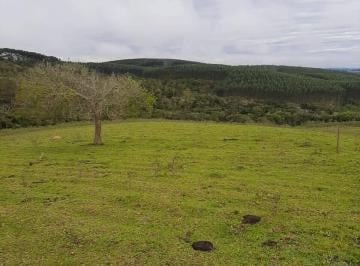 Rural · 18m² · Rurais à venda - no Centro