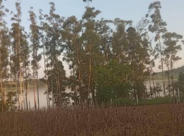 Rural · 926m² · Rurais à venda - em Barão de Antonina