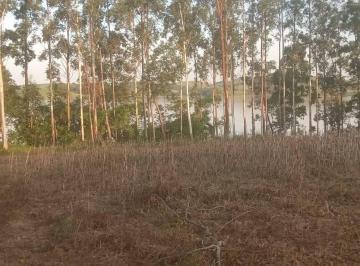 Rural · 932m² · Rurais à venda - em Barão de Antonina