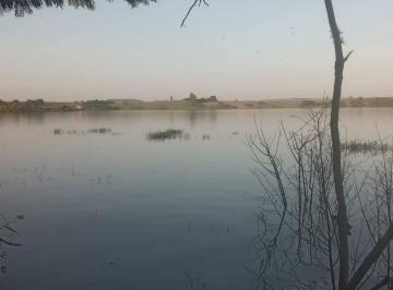 Rural · 1m² · Rurais à venda - em Barão de Antonina