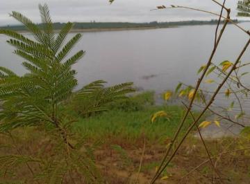 Terreno · 1m² · Terreno à venda - em Barão de Antonina