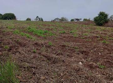 Terreno · 1m² · Terreno à venda - em Barão de Antonina