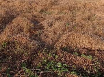 Terreno · 2m² · Terreno à venda - no Centro