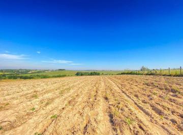 Terreno · 20m² · Terreno à venda - em Jundiacanga