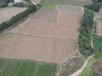 Rural · 10m² · Rurais à venda - no Centro
