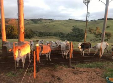 Rural · 120m² · 3 Quartos · Rurais à venda - em Capão Bonito