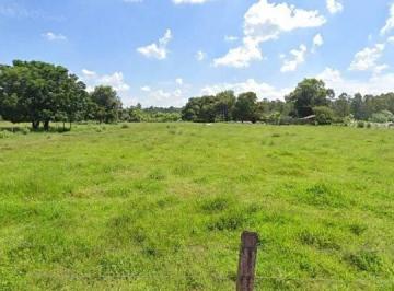 Terreno · 15m² · Terreno à venda - em Éden