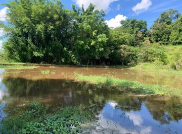 Rural · 6500m² · Rurais à venda - no Centro