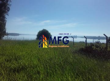 Terreno · 2621m² · Terreno à venda - em Barão de Antonina