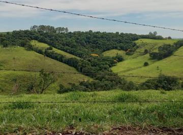 Rural · Rurais à venda - em Barão de Antonina