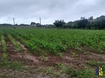 Rural · 14m² · Rurais à venda - no Centro