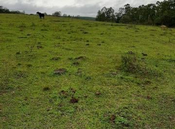 Rural · 25m² · Rurais à venda - no Centro