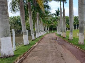 Rural · Rurais à venda - no Centro