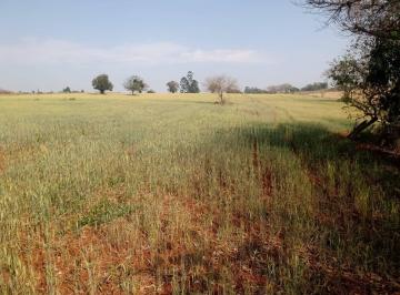 Rural · 6m² · Rurais à venda - no Centro