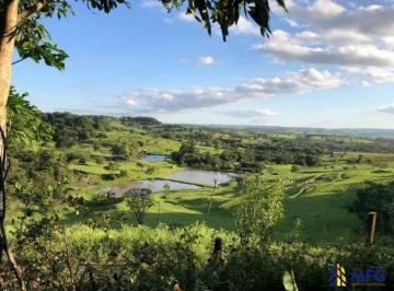 Rural · 93000m² · 4 Quartos · Rurais à venda - no Centro