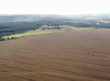 Rural · 1470m² · Rurais à venda - em Cristalina