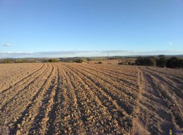 Rural · Rurais à venda - no Centro