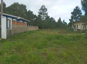 644262.jpg · Terreno - Bairro Curumim