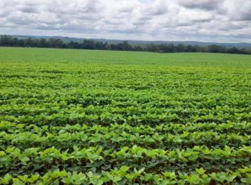 Rural · 13550000m² · FAZENDA A VENDA NA REGIÃO DE GOIATINS-TO!