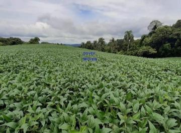Foto 32 · CHÁCARA 20 MIL M², ESCRITURADA E REGISTRADA * FICA A UM KM DA RODOVIA DO XISTO, NA DIVISA DE MARIENT