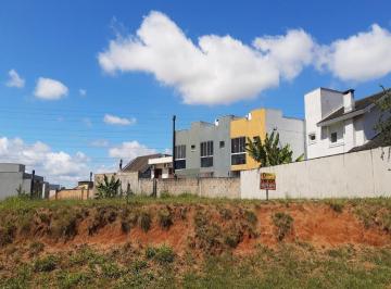 Foto 02 · Terreno - Morro Santana