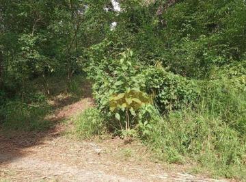 c47868701f5a4c14a0cef5f015ec148505325bf1 · Terreno à venda, 760 m² por R$ 106.000,00 - Loteamento Fontes E Bosques Alam Grei - Rio Claro/SP